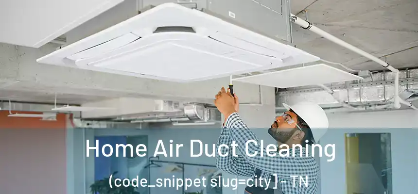  Home Air Duct Cleaning (code_snippet slug=city] - TN