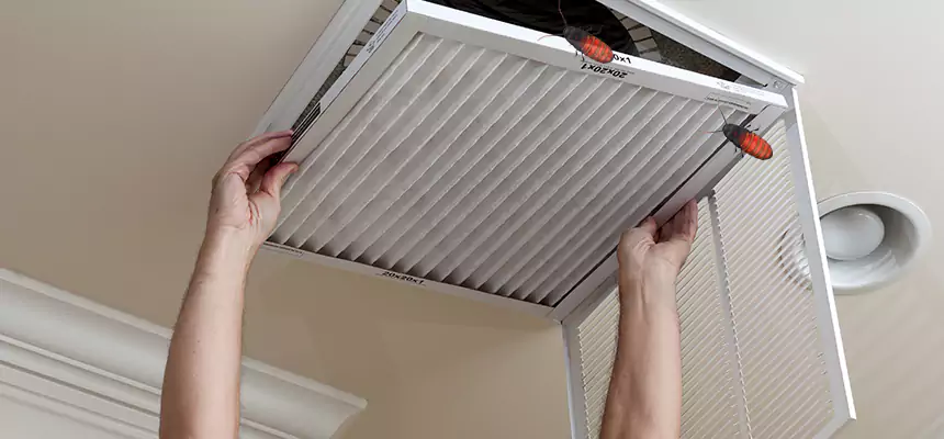 Preventive Cockroach-Proofing for Ducts in Nashville