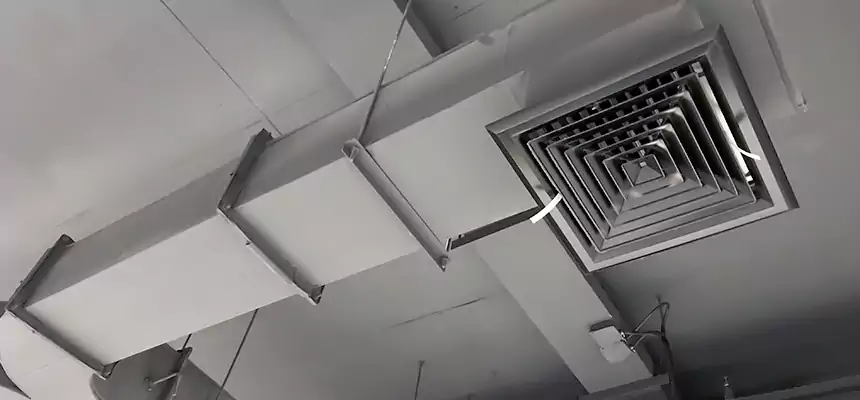 Restorative Allergy Relief Vent Cleaning – Coil, Blower & Housing Detail in Nashville