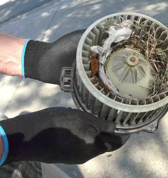 About Air Duct Mice Removal in Nashville, TN