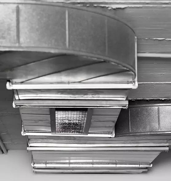 Professional Air Duct Pet Hair Removal in Nashville, TN