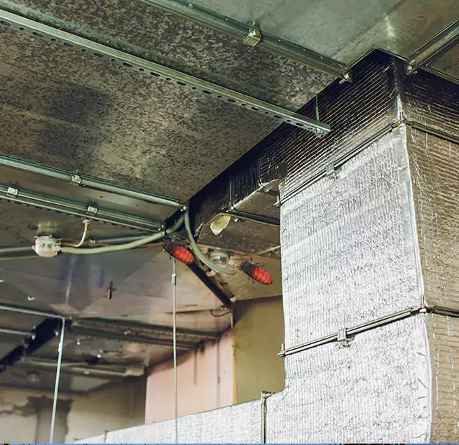 Why Homeowners & Businesses Trust Us in Nashville, TN?