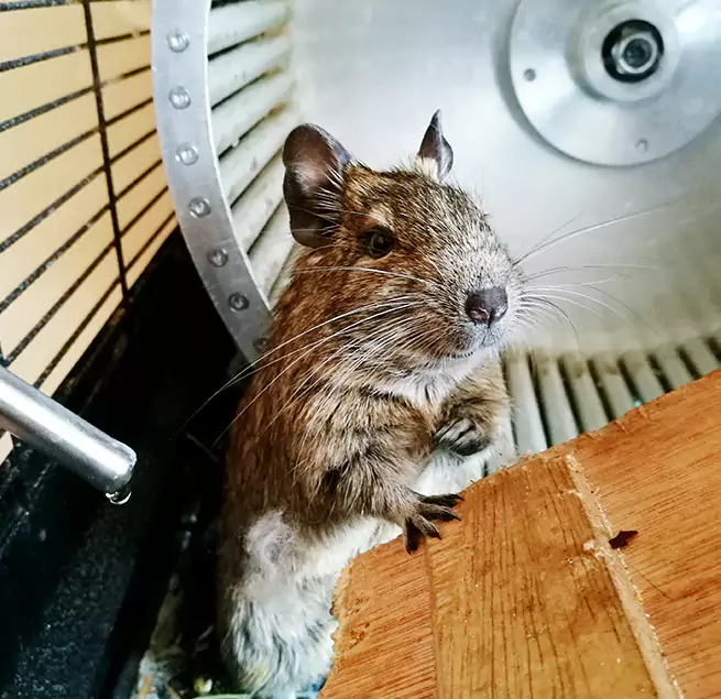 Why Homeowners & Businesses Trust Us Nashville, TN?