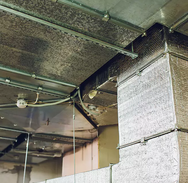 Why Homeowners & Businesses Trust Us in Nashville, TN?